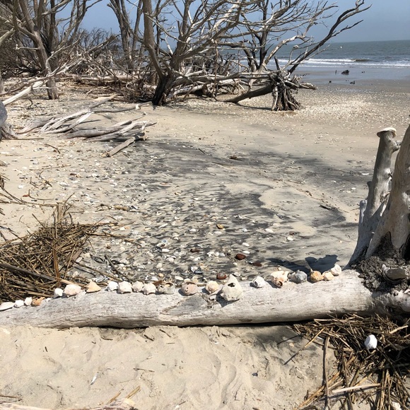 Meet your Posher, Carol - Picture 5 of 9